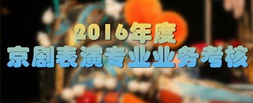 男生干逼逼网站国家京剧院2016年度京剧表演专业业务考...